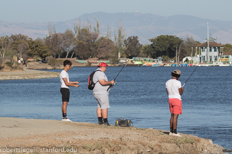 shoreline park